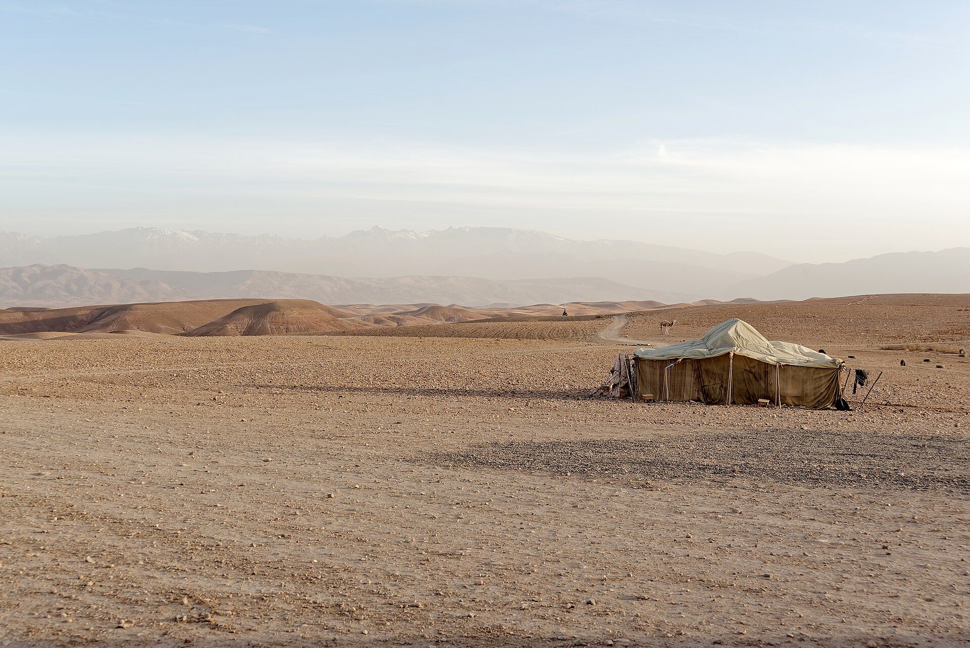 Berber tent in the stony landscape of the Agafay desert with the Atlas in the background