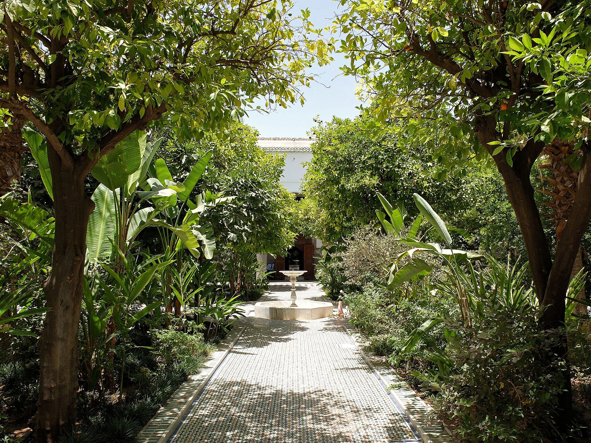 A shaded riad courtyard in Marrakesh with orange trees